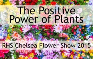 the positive power of plants at the chelsea flower show