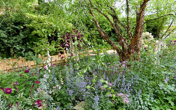 The top 10 trends from the Chelsea Flower Show 2015