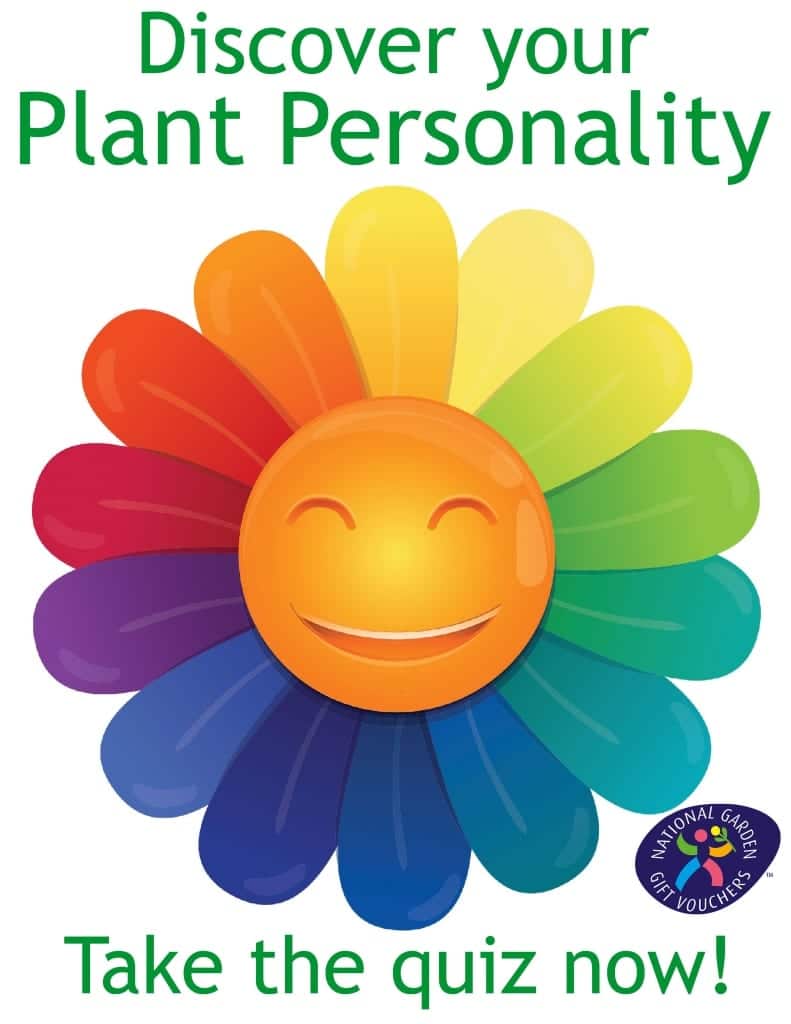 Plant-personality-quiz-david-domoney