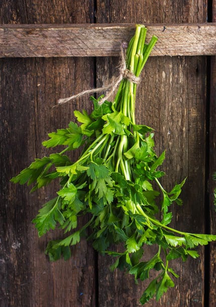 coriander-hanging-up-drying-grow-your-own