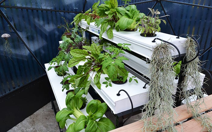love-your-garden-salad-planting-raised-bed-shelves