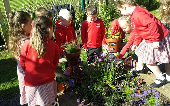 ballycraigy-school-cultivation-school-gardening-campaign-winner