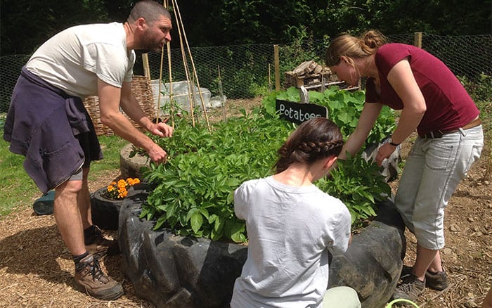 boot-up-cornwall-community-garden-campaign-winners