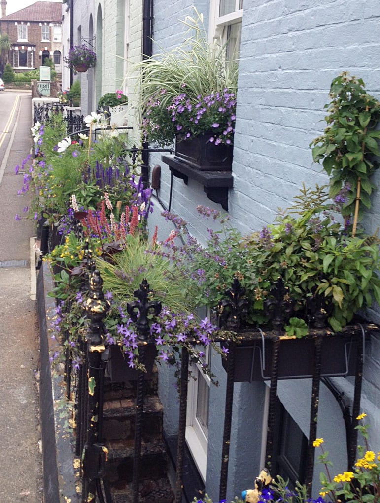 street-bedford-road-community-gardening-campaign-winners