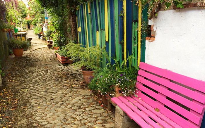 wildflower-alley-photo-winner-cultivation-street-2015-community-gardening-campaign