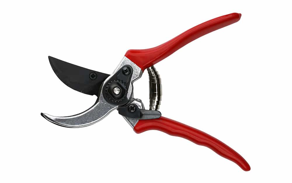 secateurs