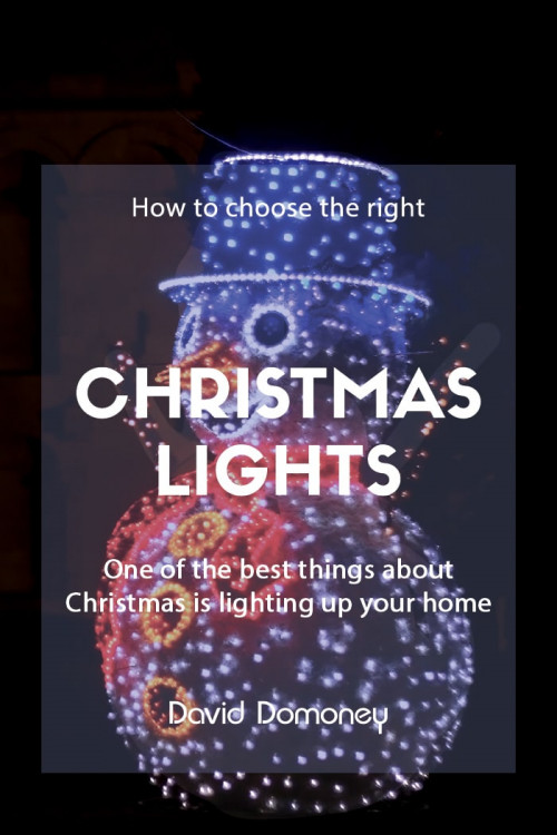 Choose the Best Christmas Lights Buying Guide