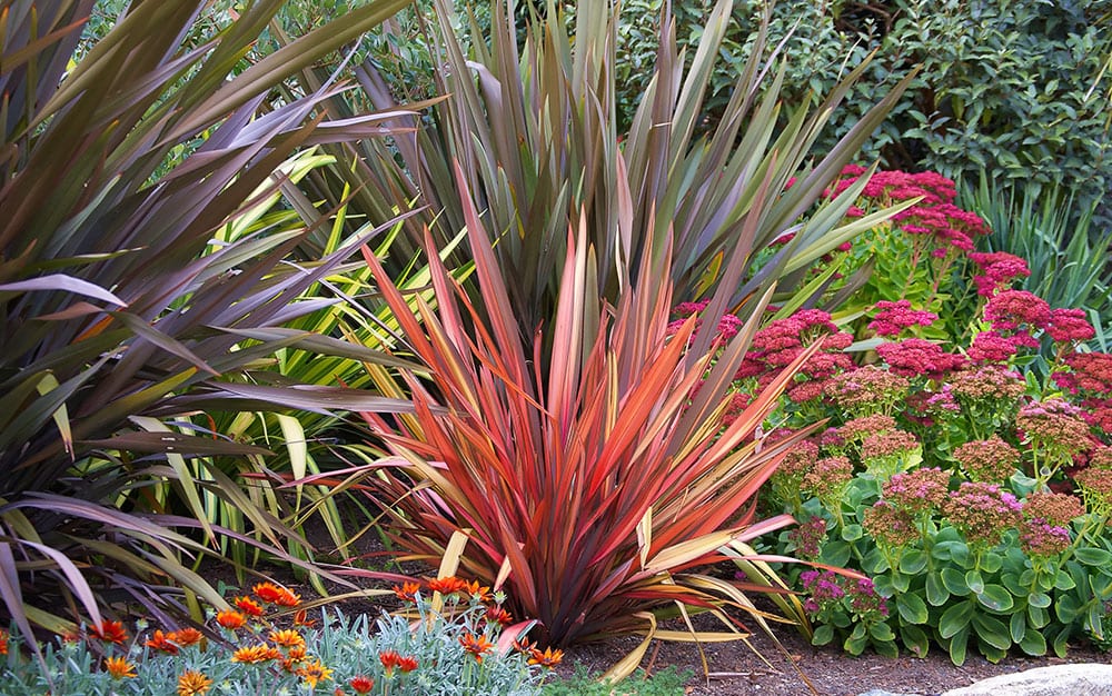 autumn garden border