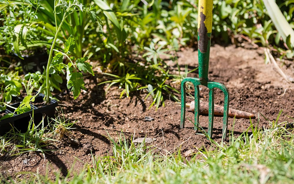 garden-fork-moving-plant