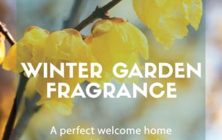 winter garden fragrance