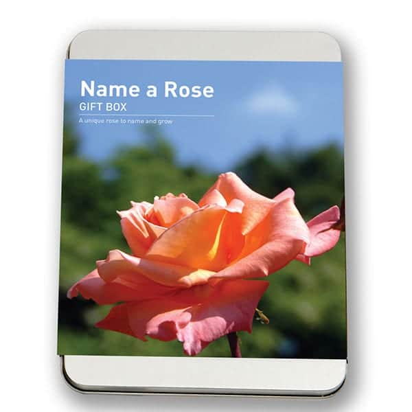 Name-A-Rose-Gift-Box