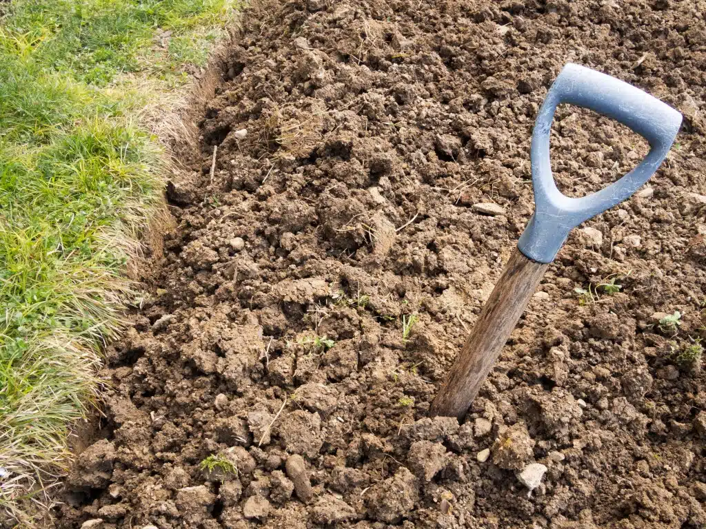 Plantar un huerto en suelo arcilloso