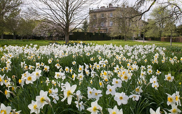 highgrove-house-gardens-spring-festival-celebration-david-domoney