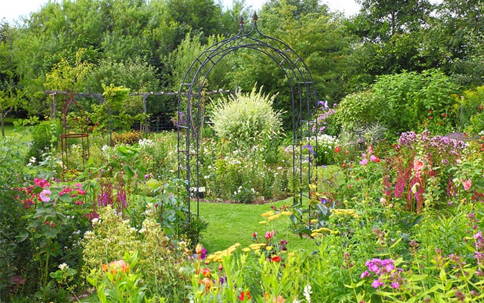garden-arch-summer-flowering-garden-design-climbers-on-arch Rose-petal-salad-2