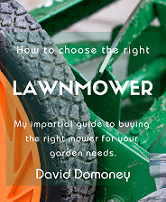 Expert guide to lawnmowers