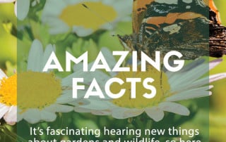 amazing facts nature