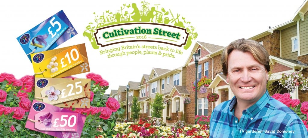Cultivation Street Banner 2016