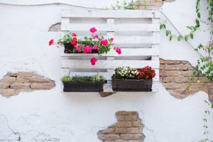How to transform your garden alley or courtyard - David Domoney