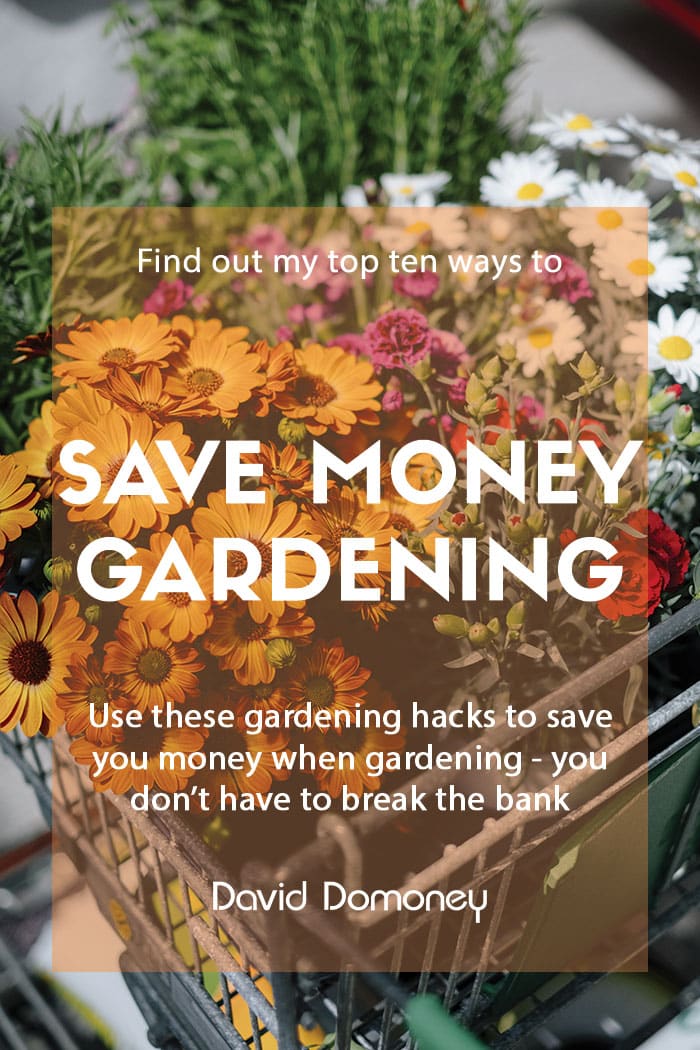 Save money gardening