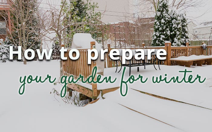 how-to-prepare-your-garden-for-winter