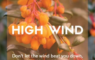 High wind