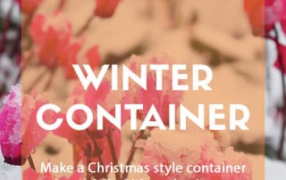 winter container feature