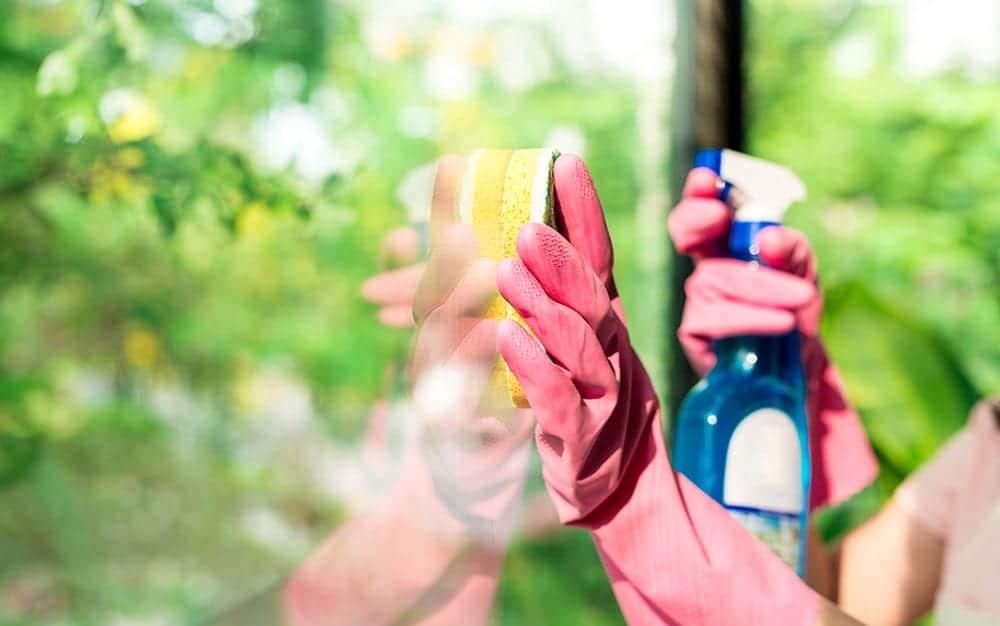 cleaning-greenhouse