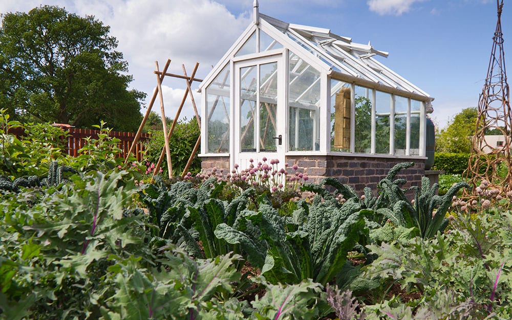 summer-greenhouse