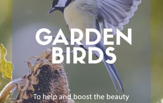 garden birds