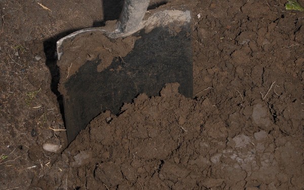 digging-soil