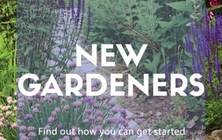 Tips for new gardeners