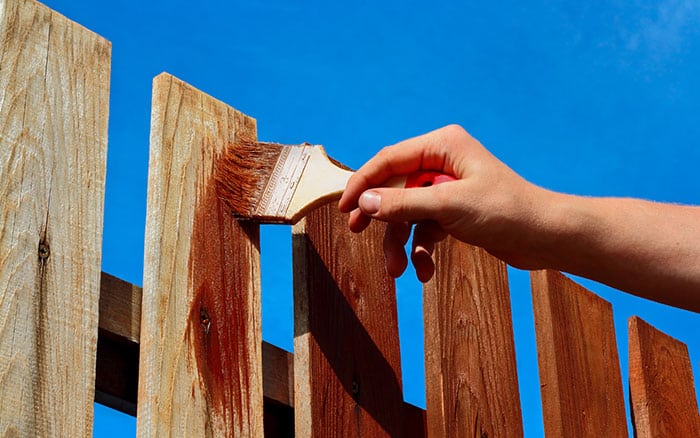 Vertical-fences Rose-petal-salad-2