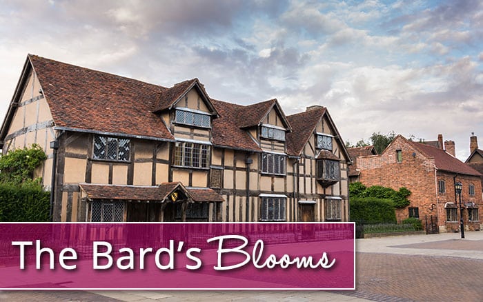 bards-blooms-3