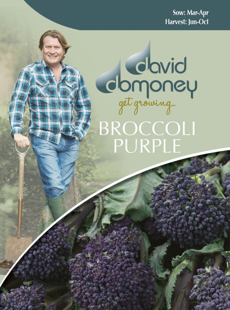 Grow your own Broccoli Purple seeds