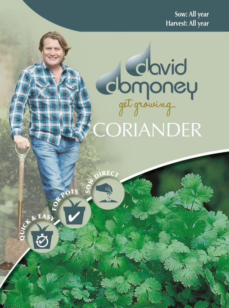 Grow your own Corriander seeds