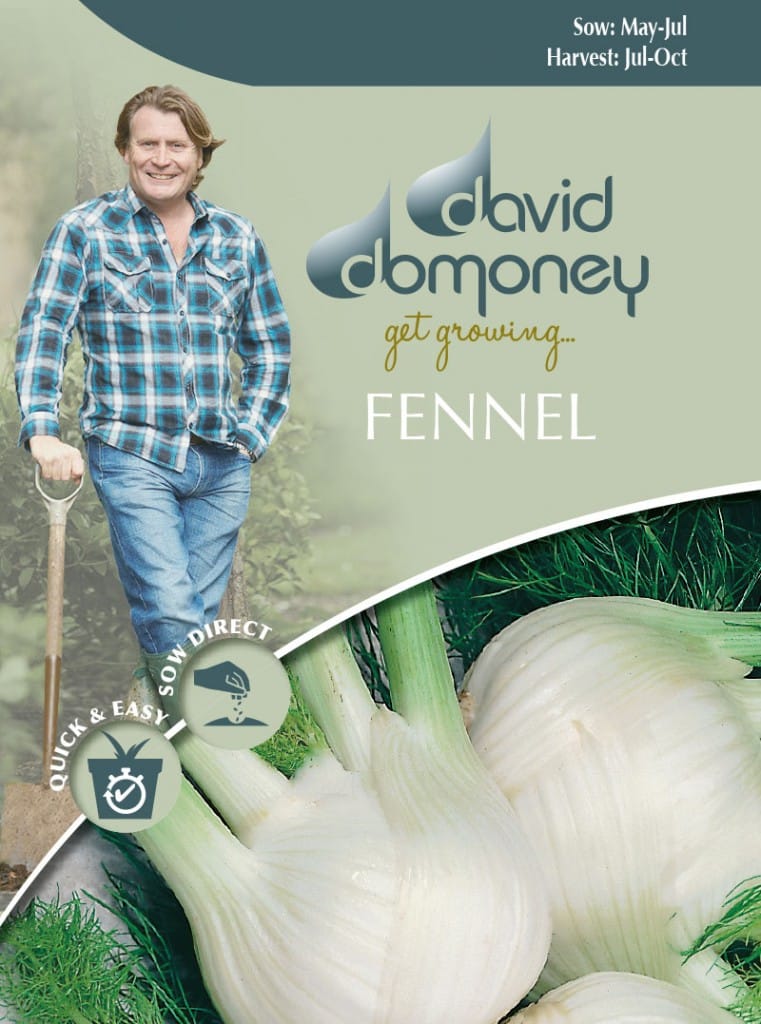 Grow your own Fennel seeds