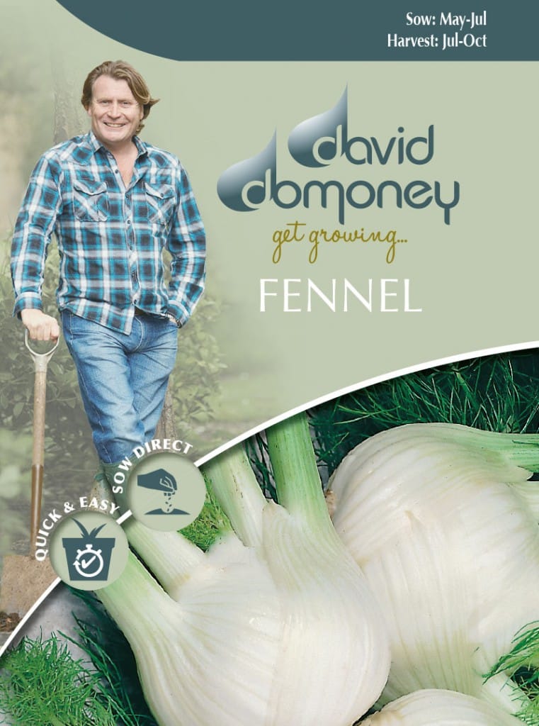 Fennel Grow your own Fennel seeds