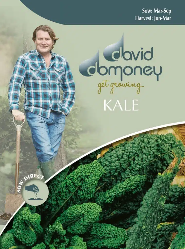 Grow your own Kale seeds