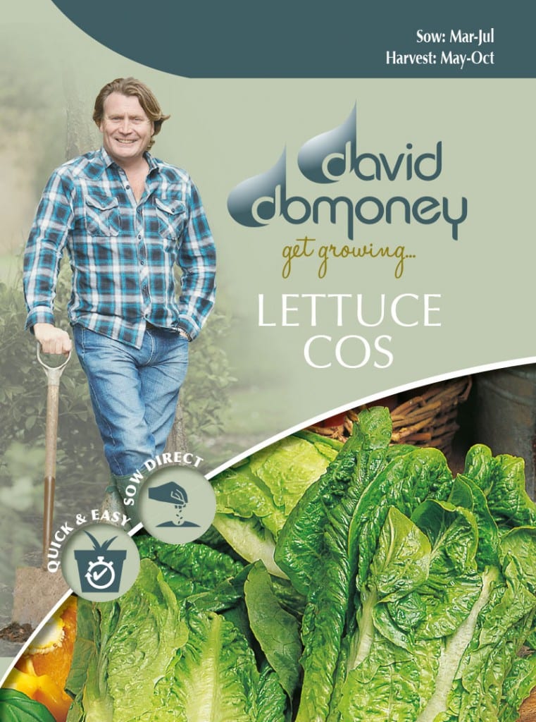 Grow your own Lettuce Cos seeds