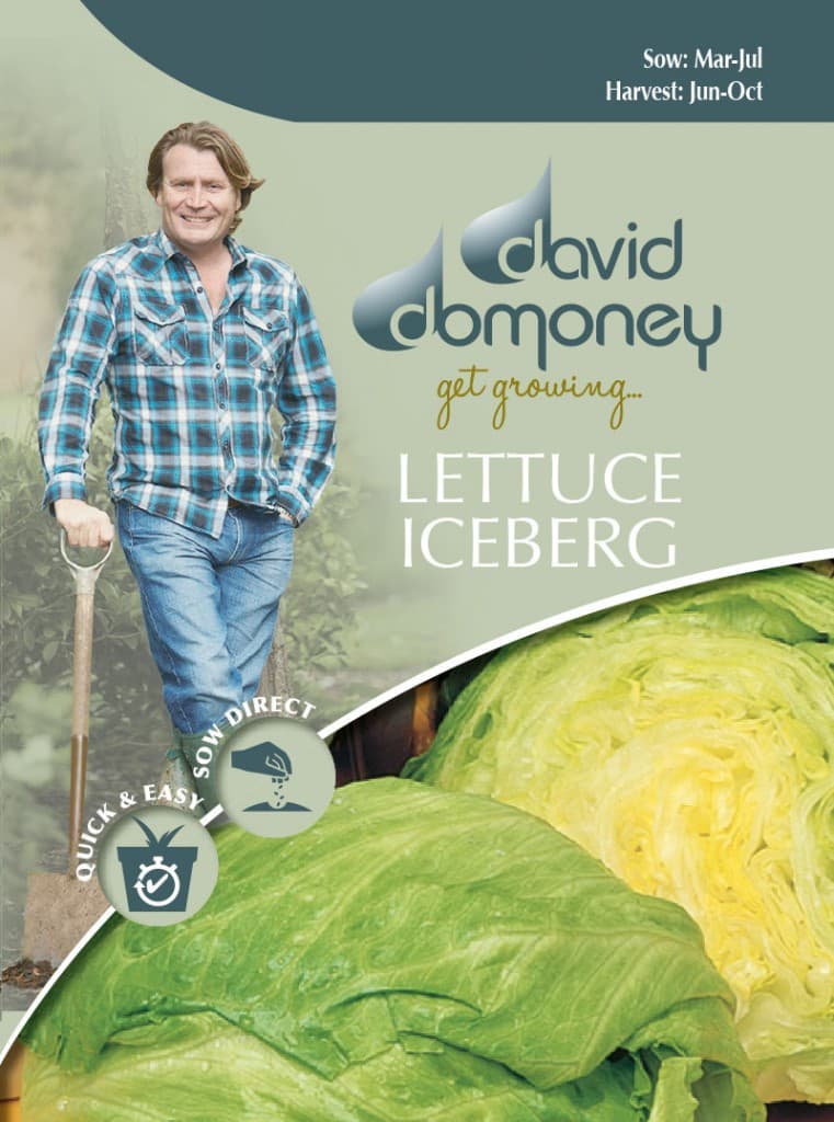 Grow your own Lettuce Iceberg seeds