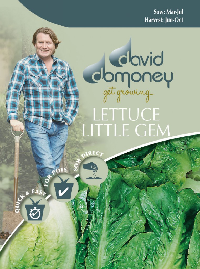 Grow your own Lettuce Little Gem Delight Seeds