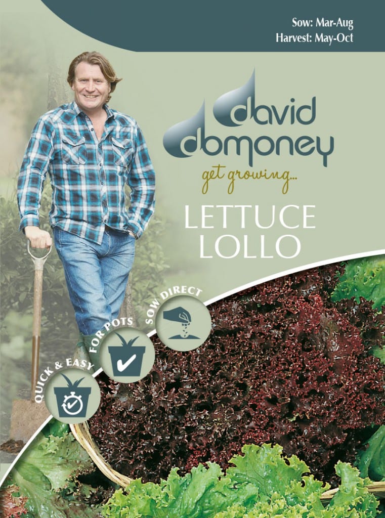 Grow your own Lettuce Lollo seeds