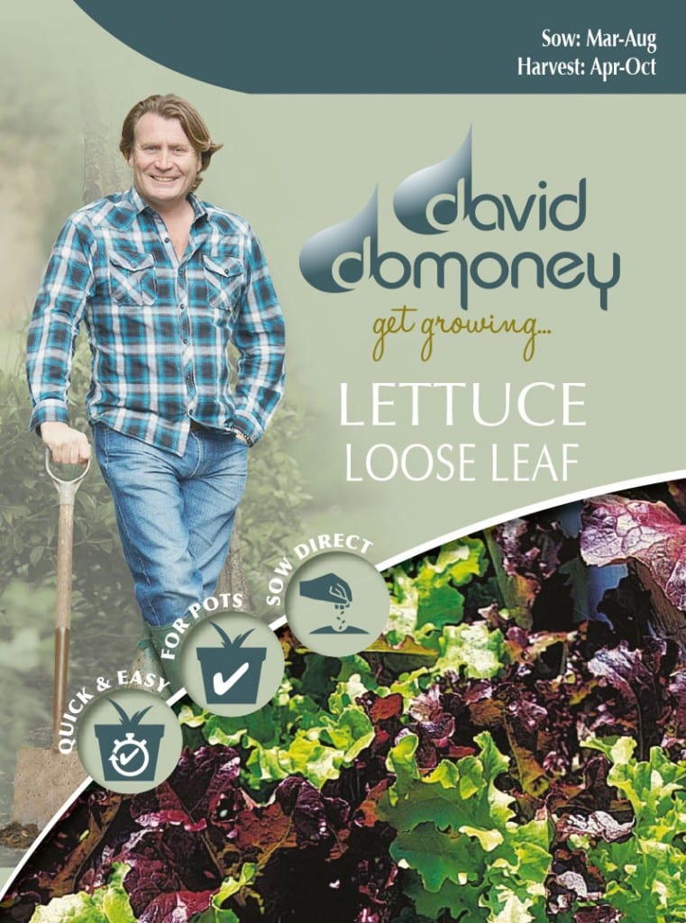 Grow your own Loose leaf lettuce