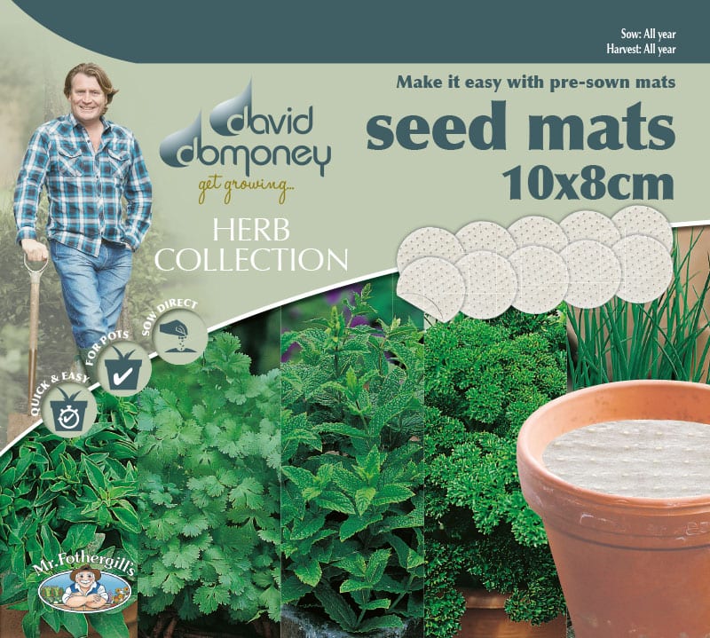 Grow your own Herb Collection