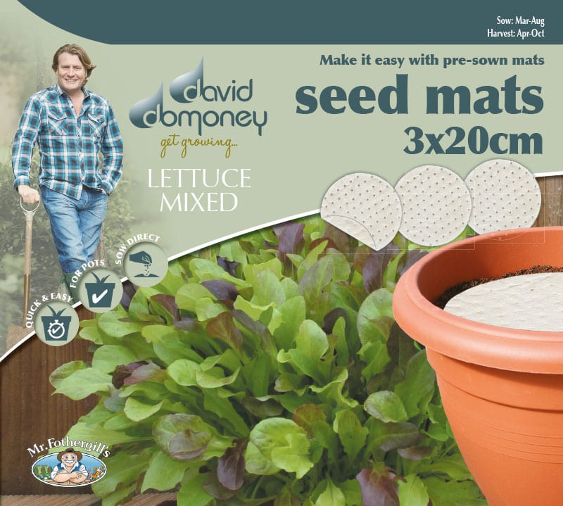 Grow your own Mat Lettuce