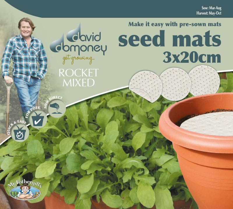 Grow your own Mat Rocket seeds