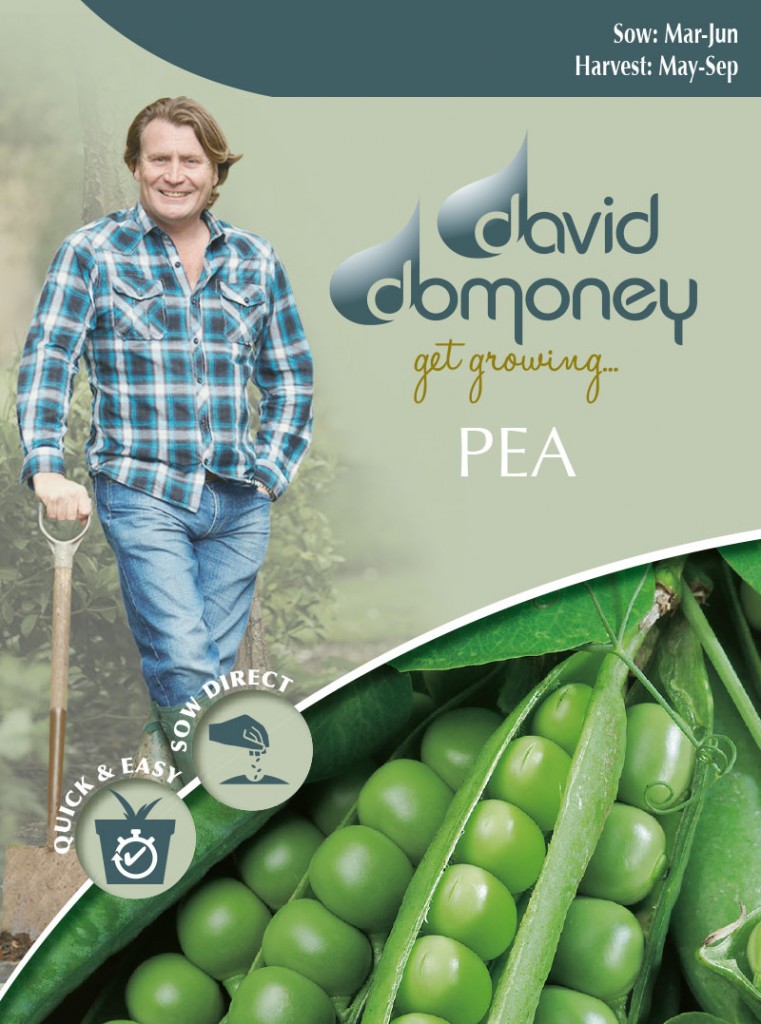 Pea