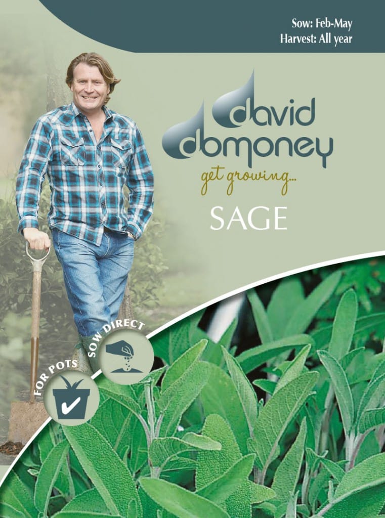 Sage Grow your own Sage seeds