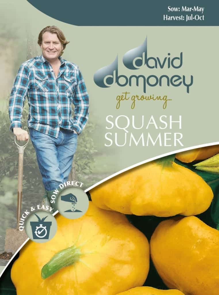 Squash-Summer