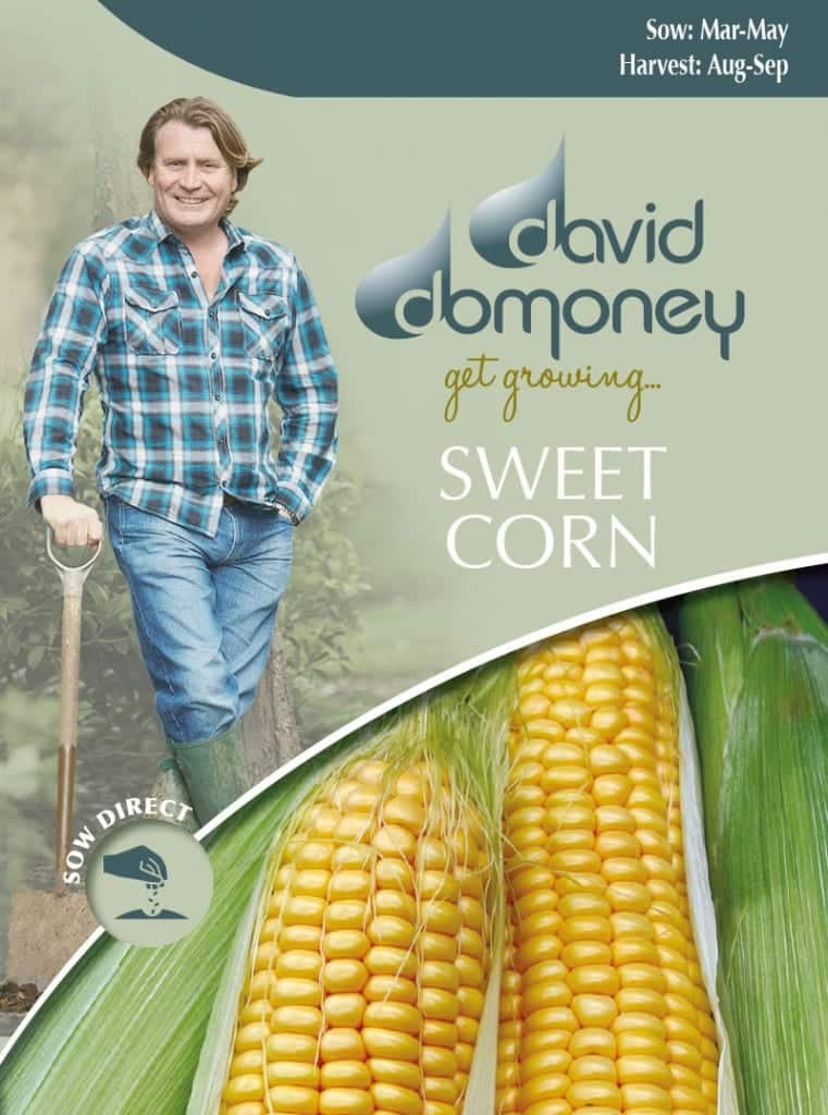 Grow your own sweetcorn seeds